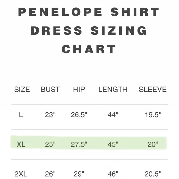 NWT WRAY Penelope Shirt Dress - Picture 4 of 4